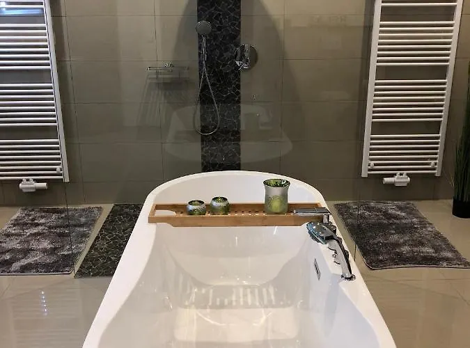 公寓 Appartementhaus Silberborn 巴特哈尔茨堡